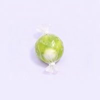 Four Seasons Snack Bag
